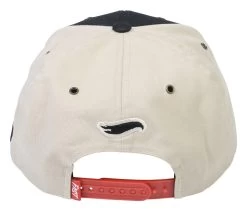 Fasthouse Dash Hot Wheels Snapback Hat 10 Fasthouse Dash Hot Wheels Snapback Hat -Moto Gear Shop fasthouse dash hot wheels hat black 4