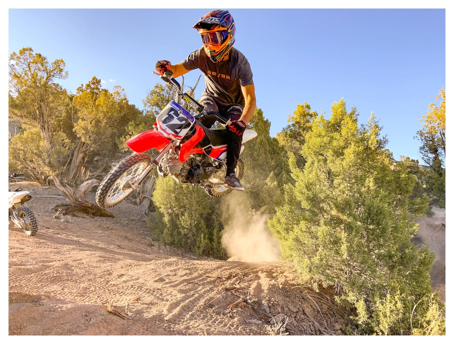 REVER Logo T-Shirt 3 REVER Logo T-Shirt - Image 3